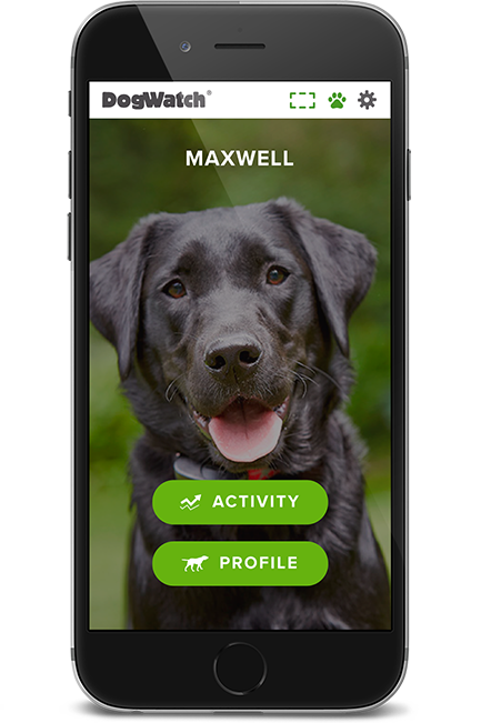 DogWatch of Greater Charleston, Mount Pleasant, South Carolina | SmartFence WebApp Image