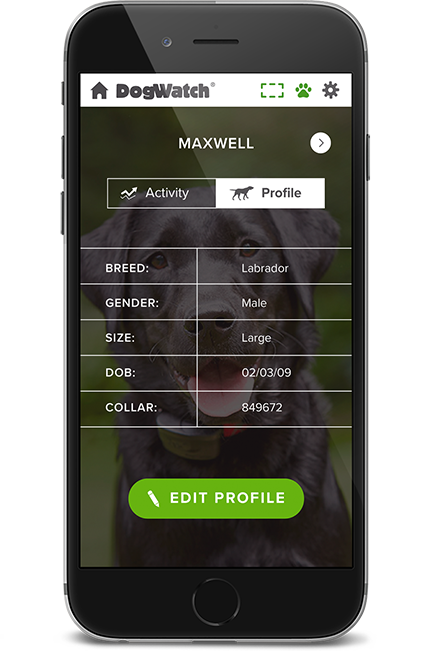 DogWatch of Greater Charleston, Mount Pleasant, South Carolina | SmartFence WebApp Image